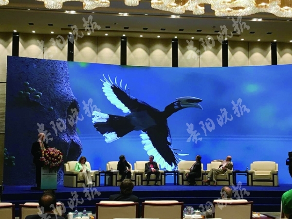gywb4933357b001@600_450.jpg