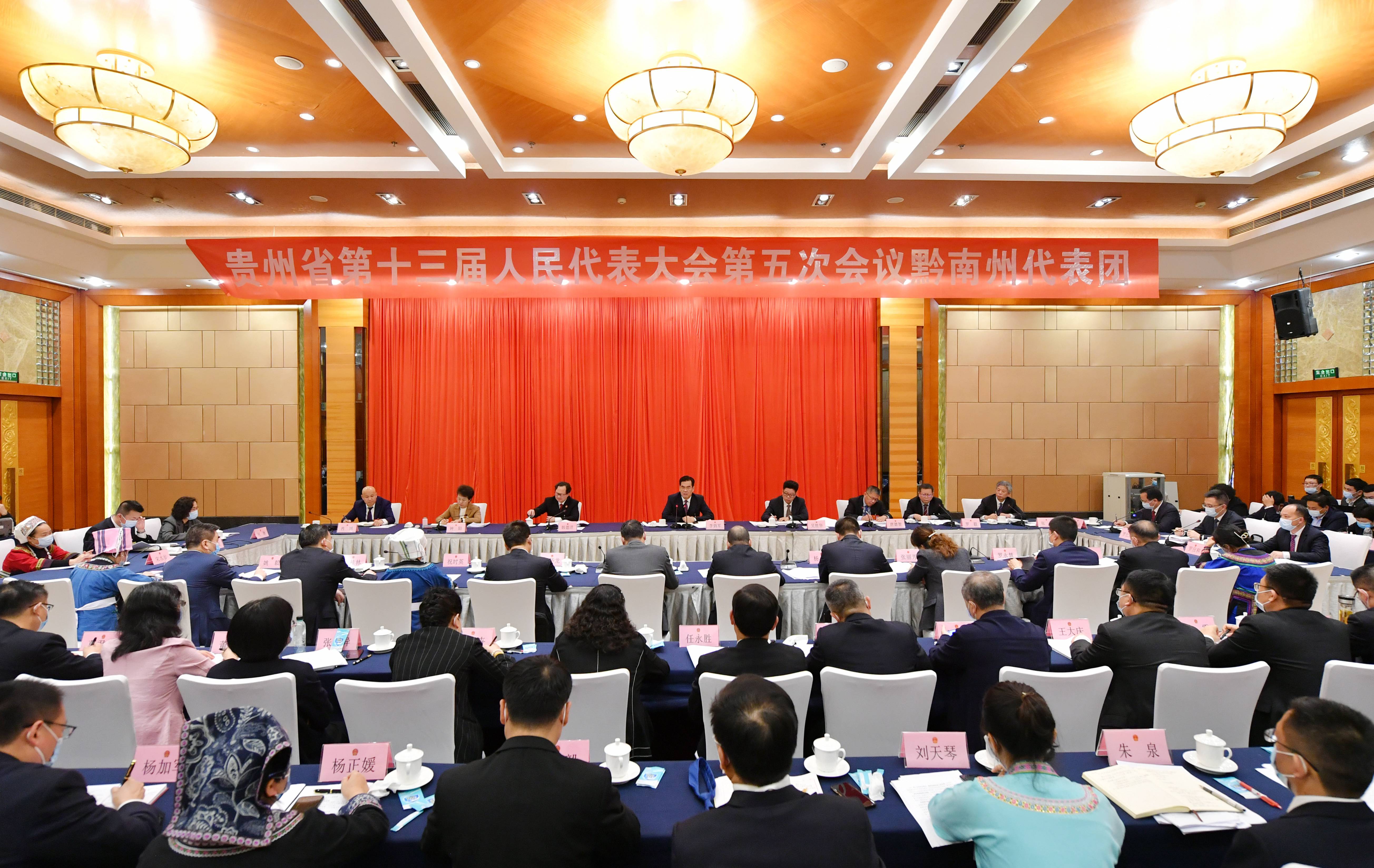 李炳军参加黔南代表团审议
