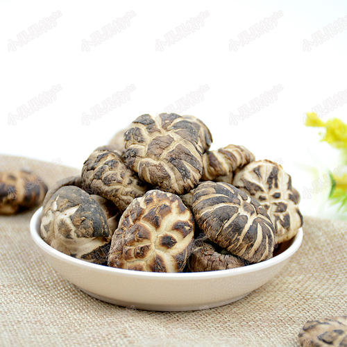 食用菌