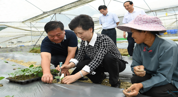 谌贻琴：把农村产业革命进行到底坚决夺取脱贫攻坚战全面胜利