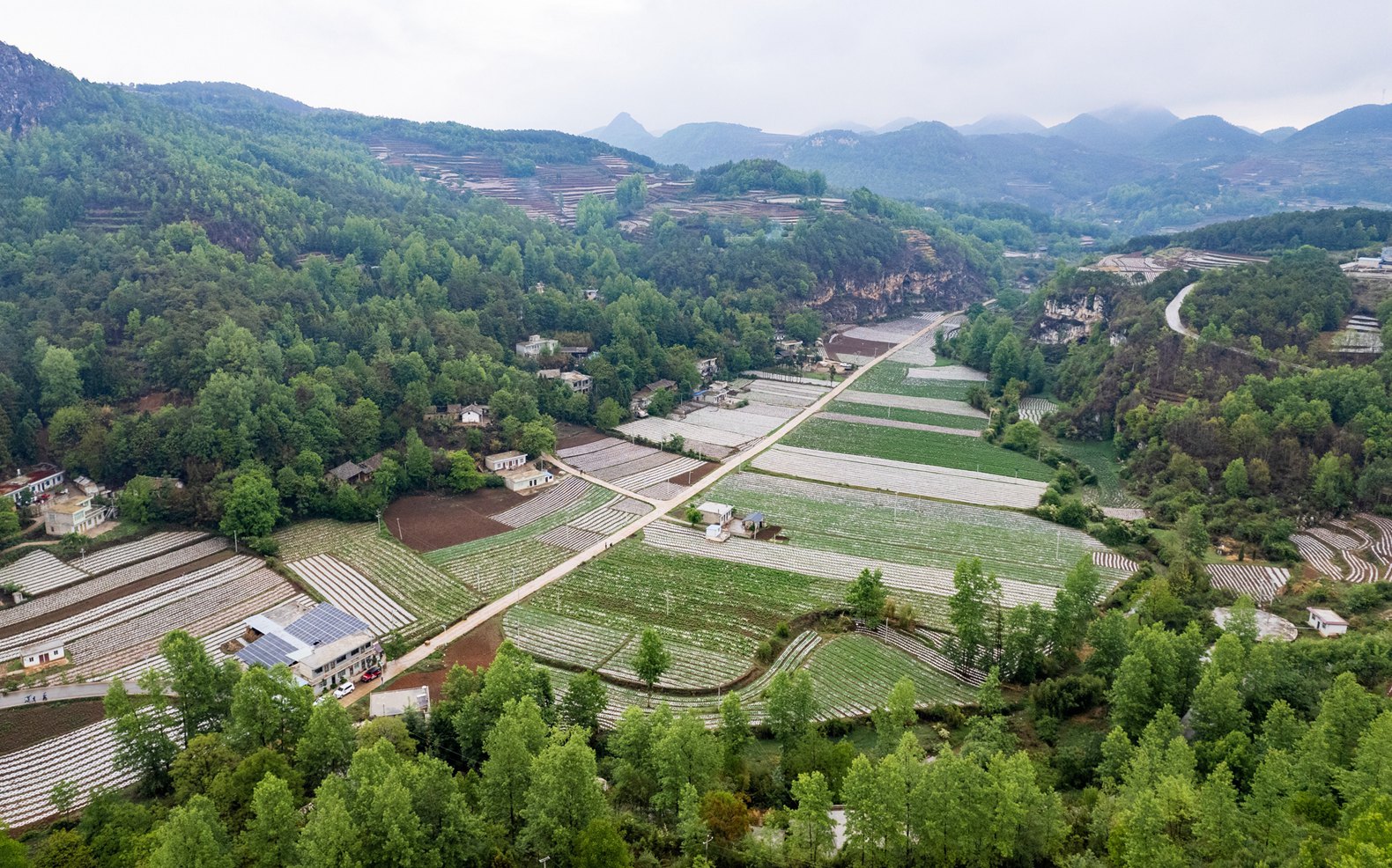 小海镇三河村有耕地面积 14760 亩,森林覆盖率 52%,平均海拔2100米。主要种植有马铃薯、蔬菜、经果林(黄桃)、中药材等作物。林民 摄影.jpg