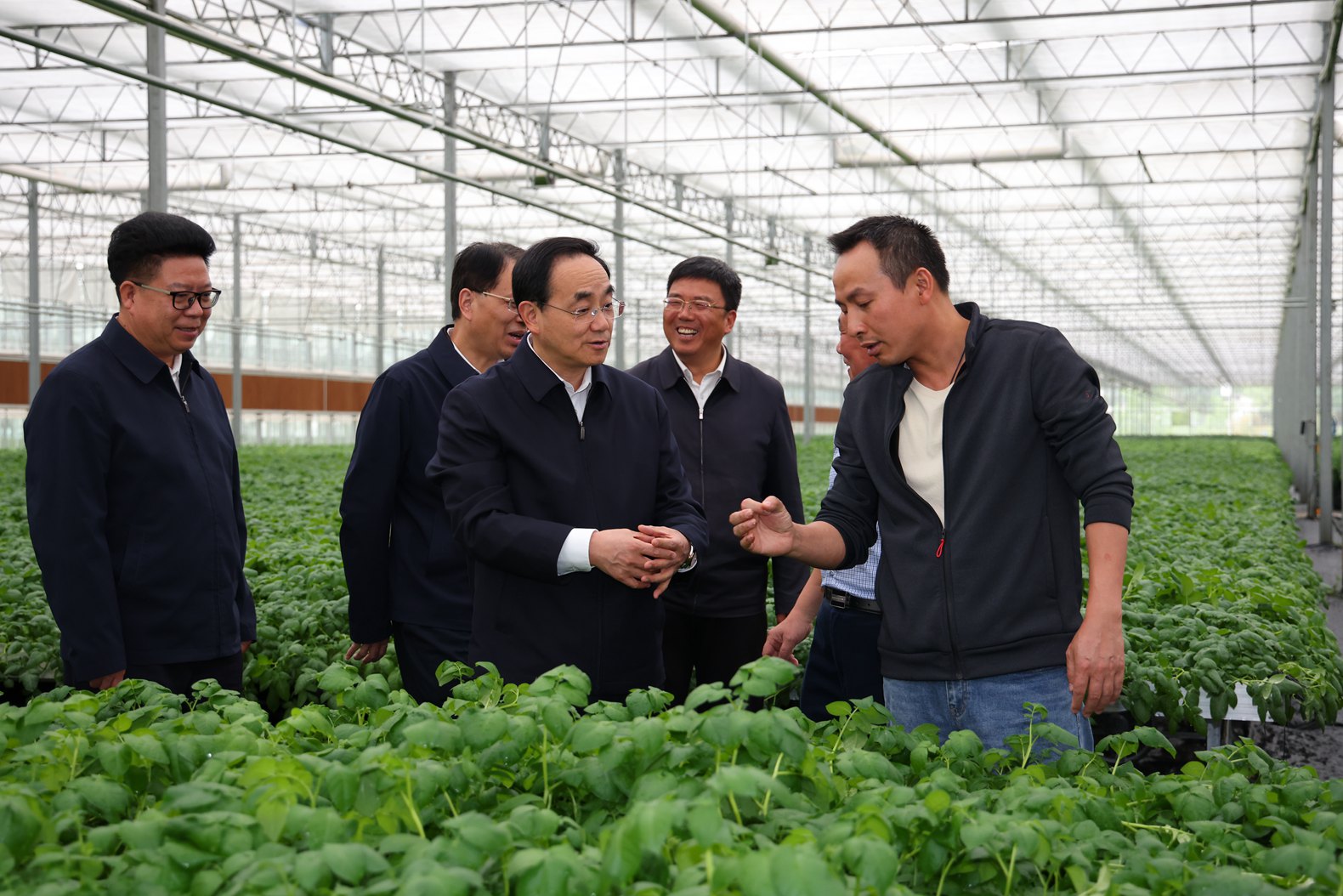 (审定)DPCL0631-1----2024年5月6日至7日,省委书记、省人大常委会主任徐麟深入毕节市威宁自治县调研。图为徐麟在草海镇中垦薯业种薯培育基地考察。贵州日报天眼新闻记者 杜朋城 摄影.jpg