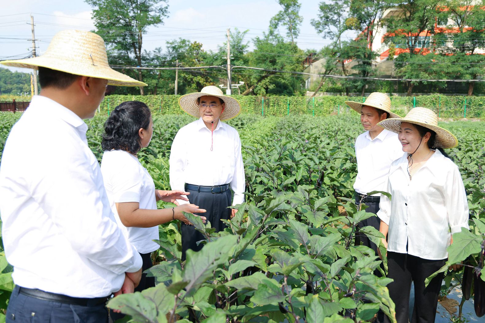 图为徐麟在蔬菜种质资源圃,了解蔬菜品种资源保存、新品种选育等情况。贵州日报天眼新闻记者 杜朋城 摄影.jpg