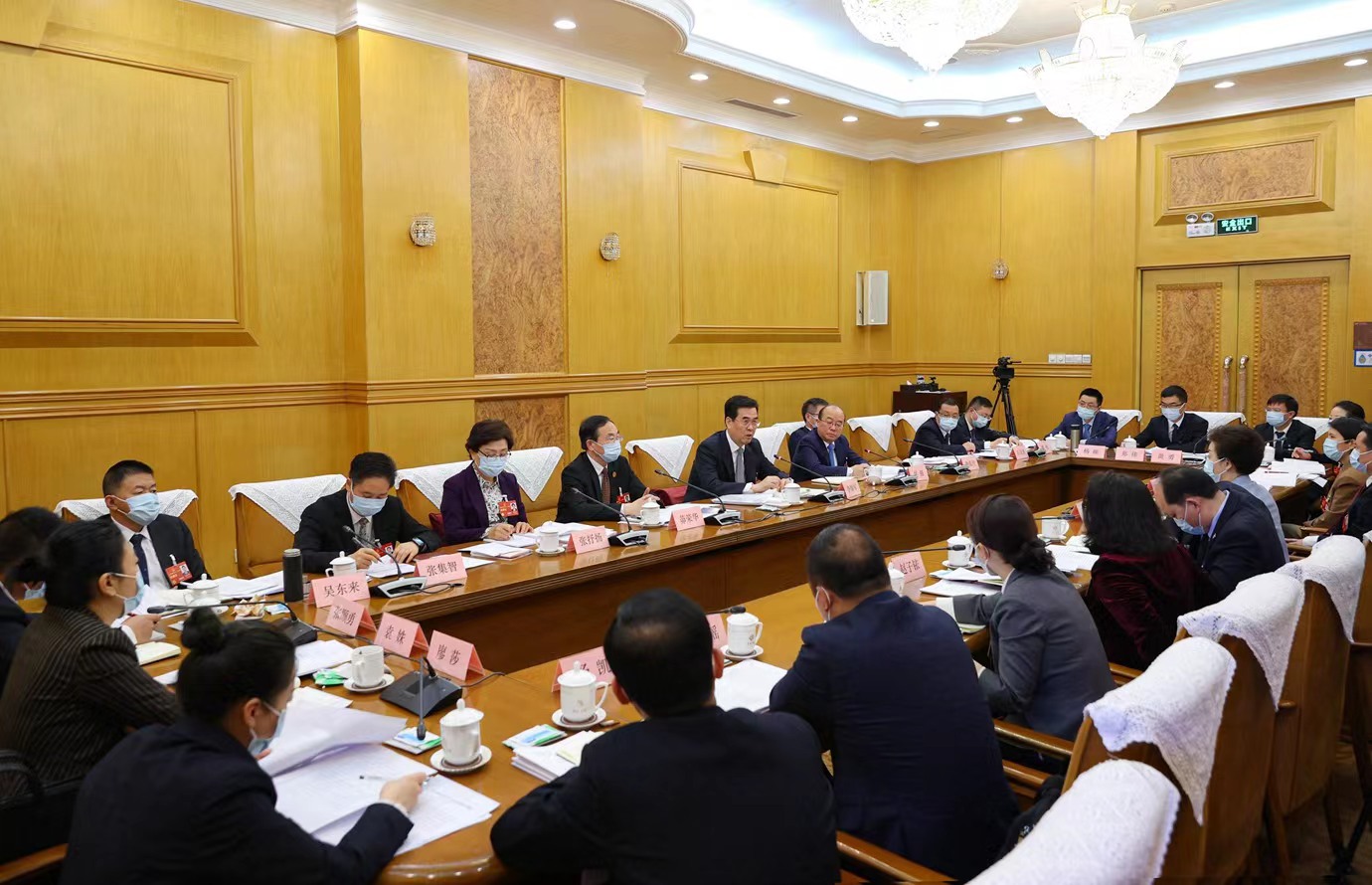 0308在审议全国人大常委会工作报告时的发言.jpg