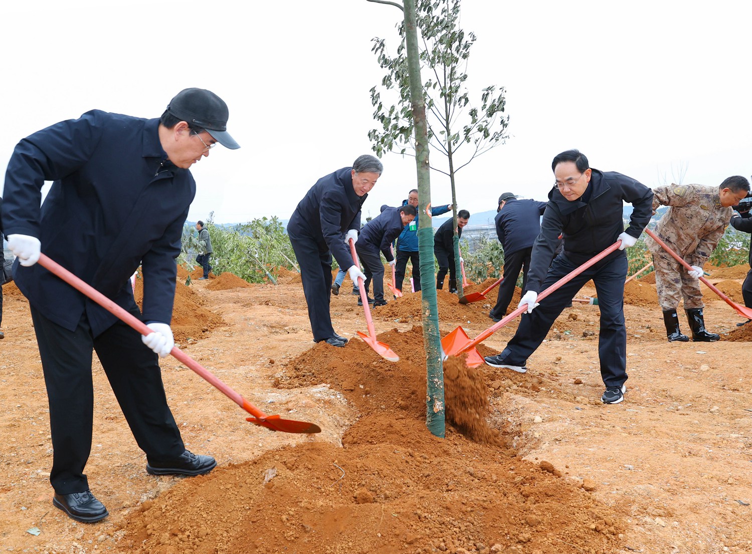 02052025年全省义务植树活动.jpg