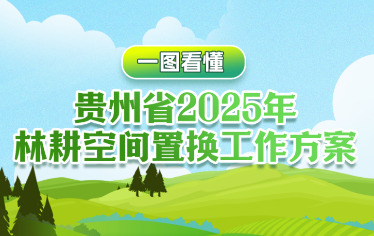 一图看懂《贵州省2025年林耕空间置换工作方案》